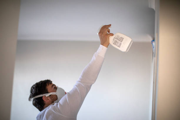 Best Mold Remediation  in Maryland Heights, MO